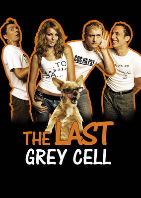 Job, czyli ostatnia szara komorka