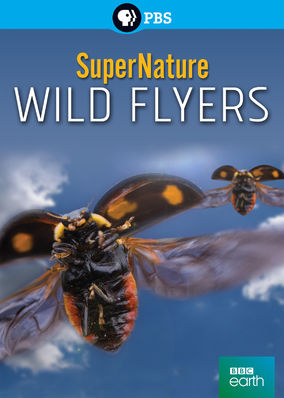 SuperNature: Wild Flyers