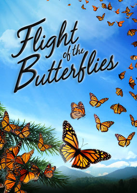 Flight of the Butterflies