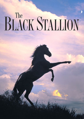 The Black Stallion