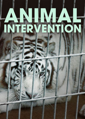 Animal Intervention