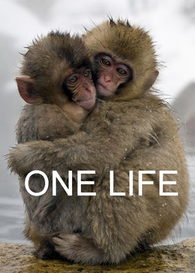 One Life