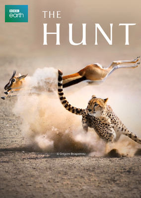 The Hunt